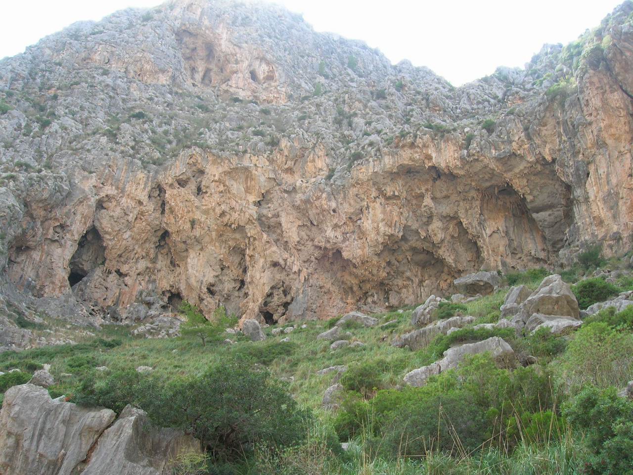 Torrent de Parreis